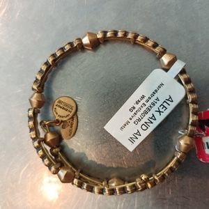 Alex and Ani NWT Vintage copper wrap around bracelet